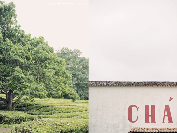 São Miguel, Azores. Travel photography Portugal