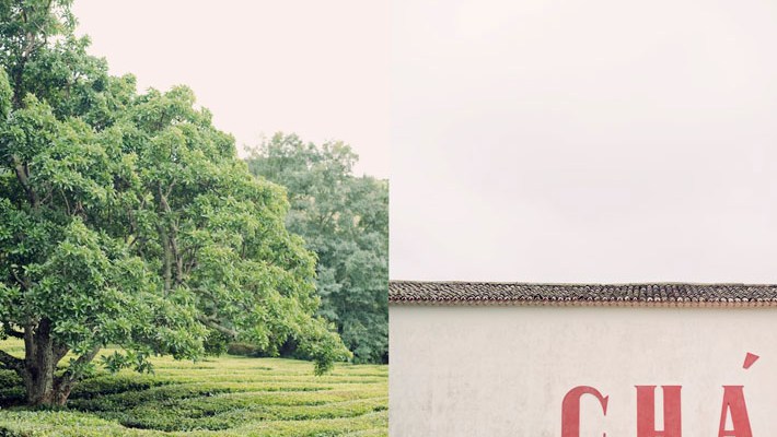 São Miguel, Azores. Travel photography Portugal