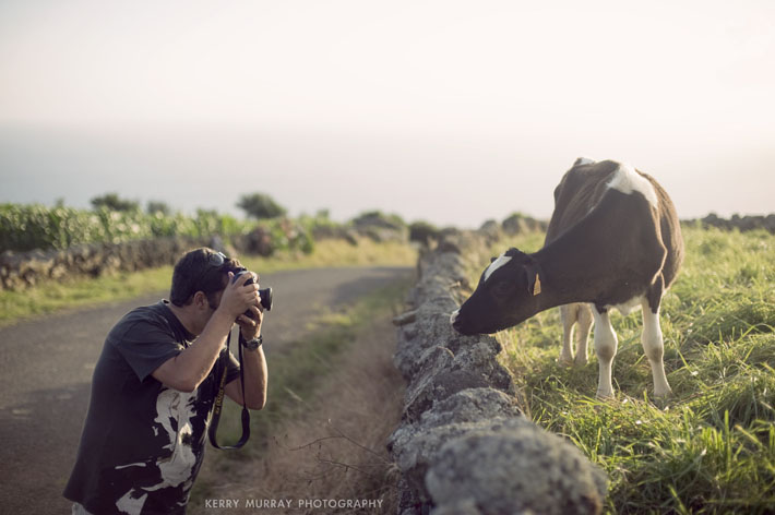 Terceira Island, Azores - travel photography Portugal