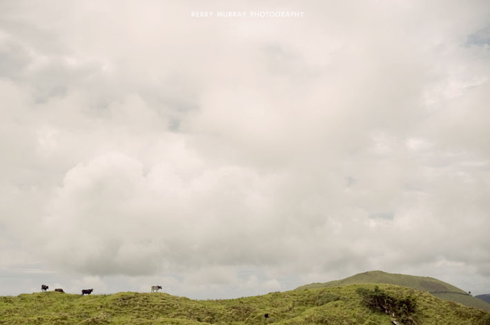 Terceira Island, Azores - travel photography Portugal