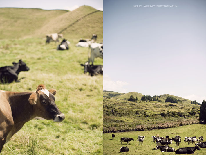 Terceira Island, Azores - travel photography Portugal
