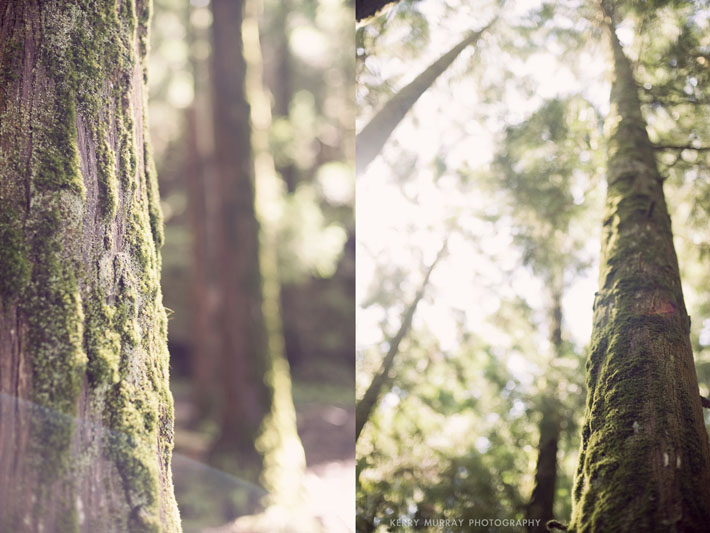 Terceira Island, Azores - travel photography Portugal