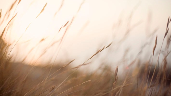 travel photography portugal