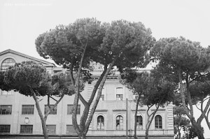 Travel Photography Rome