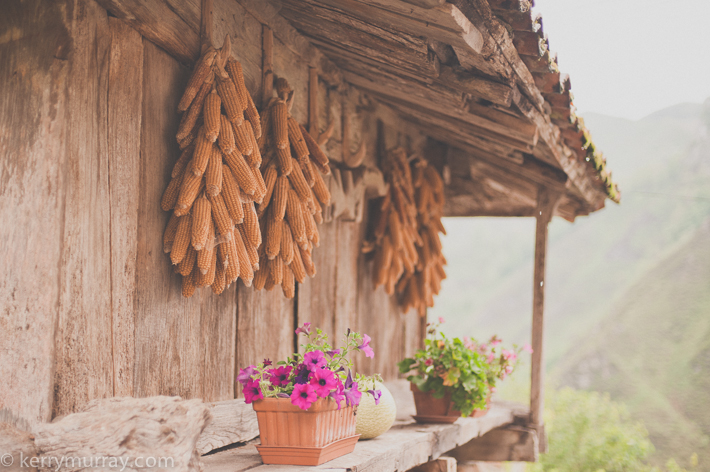 Picos da Europa, Asturias, Spain