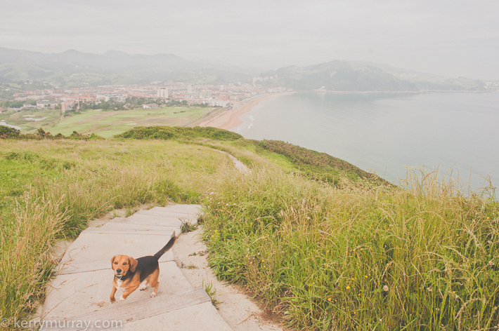 Basque country coastline