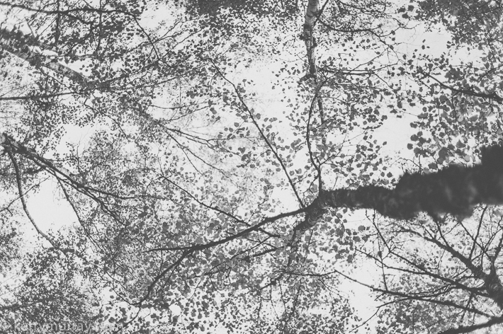 travel photography portugal europe