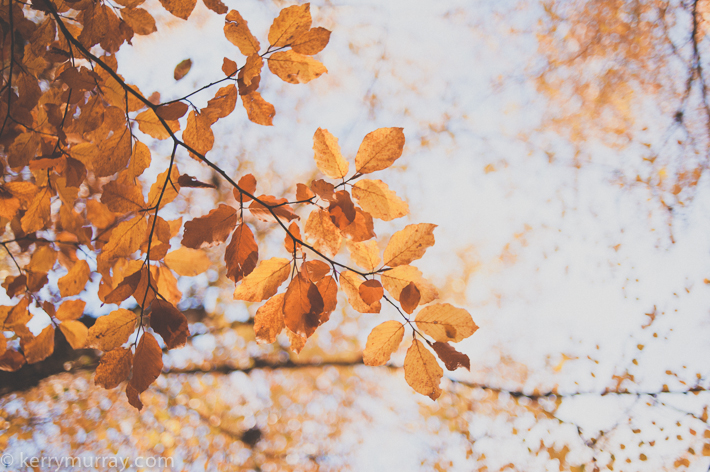 travel photography portugal europe