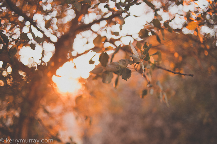 travel photography monsanto, central portugal