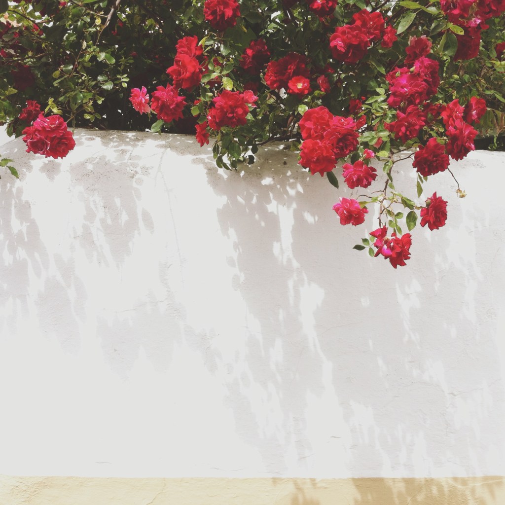 travel photographer alentejo portugal