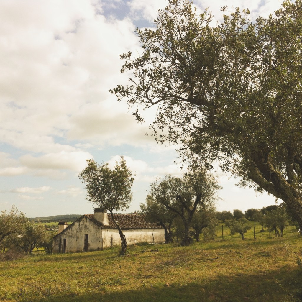 travel photographer alentejo portugal