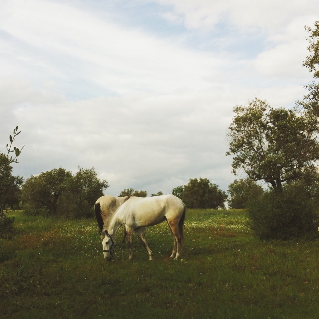 travel photographer alentejo portugal