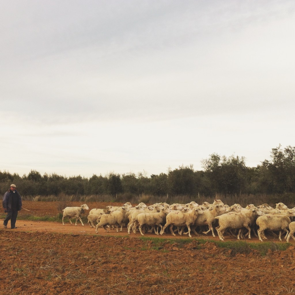 travel photographer alentejo portugal