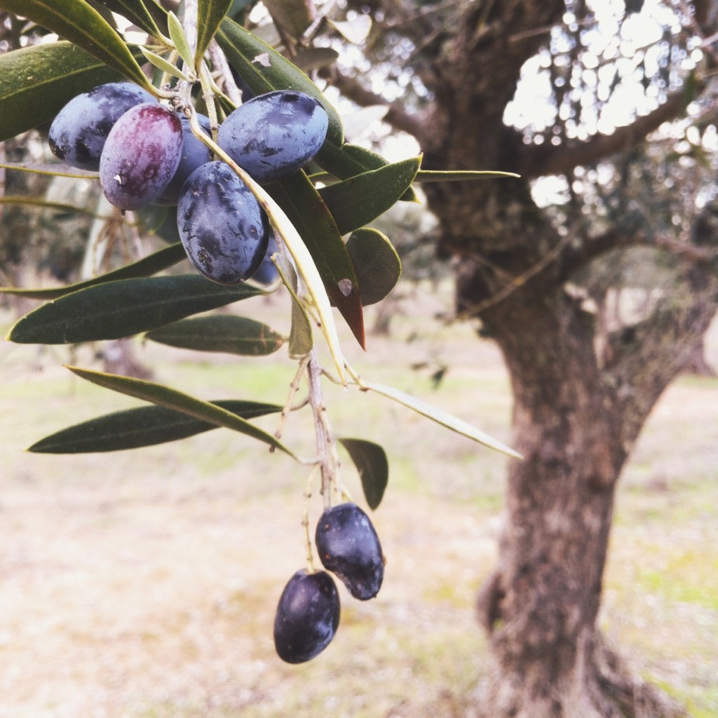 travel photographer alentejo portugal