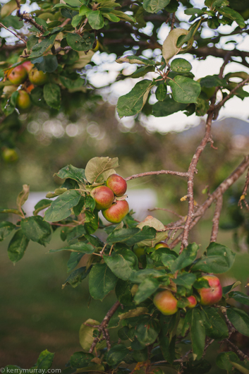 Travel photography Asturias Spain