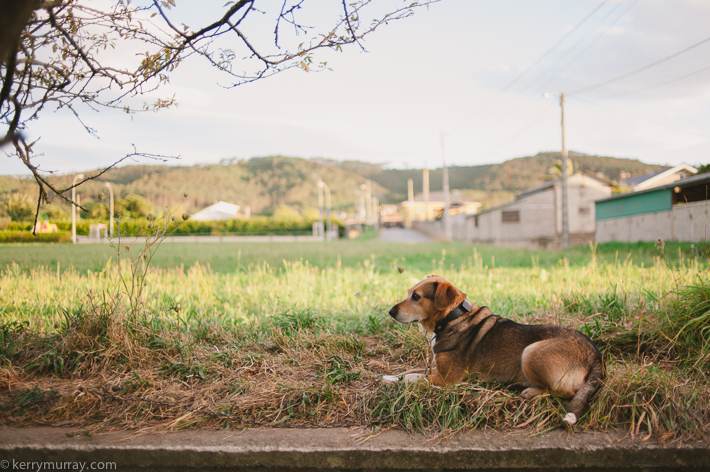 Travel photography Asturias Spain