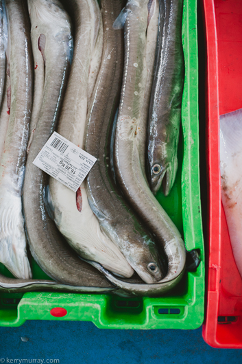 travel photography Luarca Asturias Spain