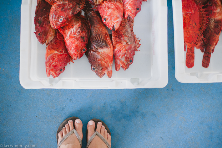 travel photography Luarca Asturias Spain