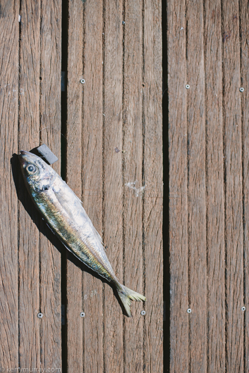 travel photography Luarca Asturias Spain