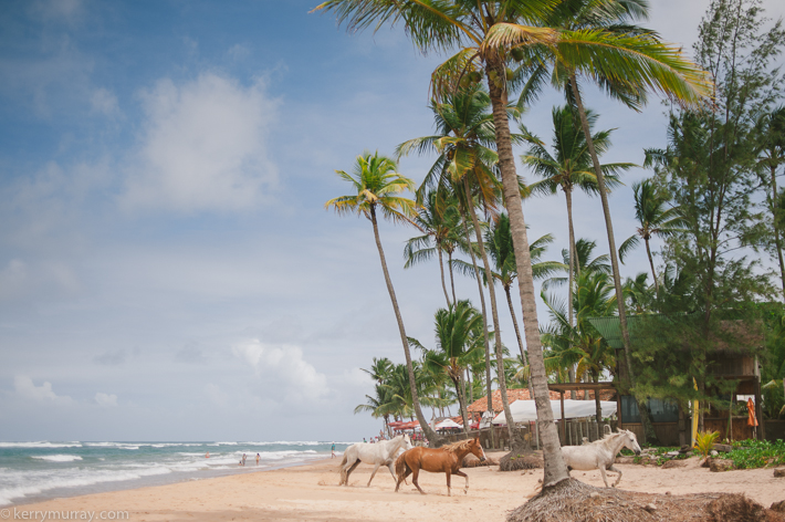 Travel photography Bahia Brazil