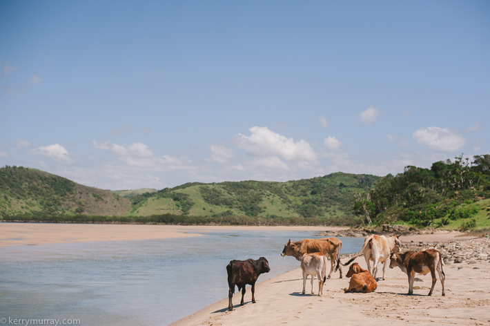 Mdumbi Beach Transkei