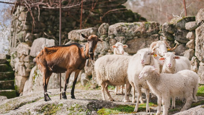 travel photography portugal