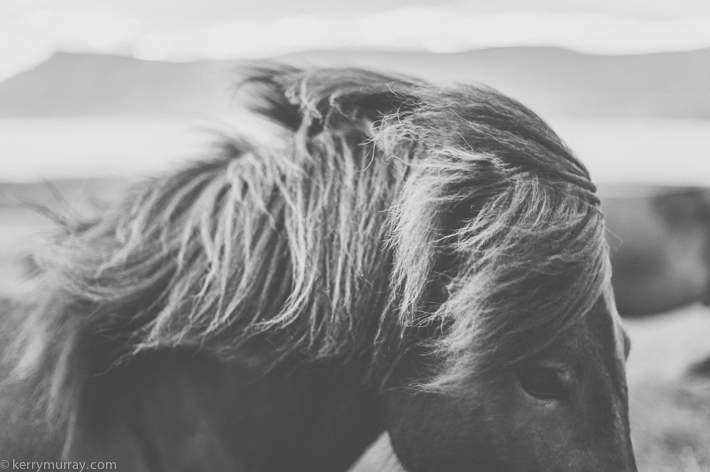 Golden Circle Iceland