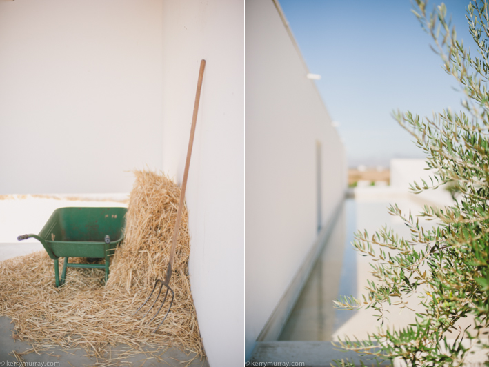 Torre de Palma Monforte