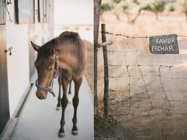 Torre de Palma Monforte