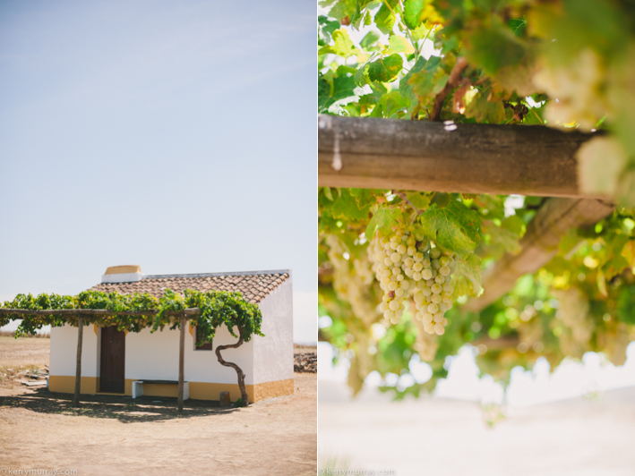 Torre de Palma Monforte