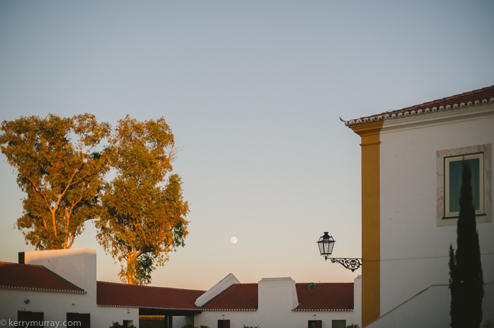 Torre de Palma Monforte
