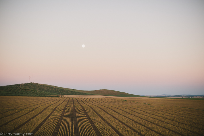 Torre de Palma Monforte