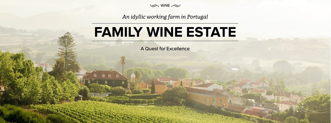 wine farm photography portugal