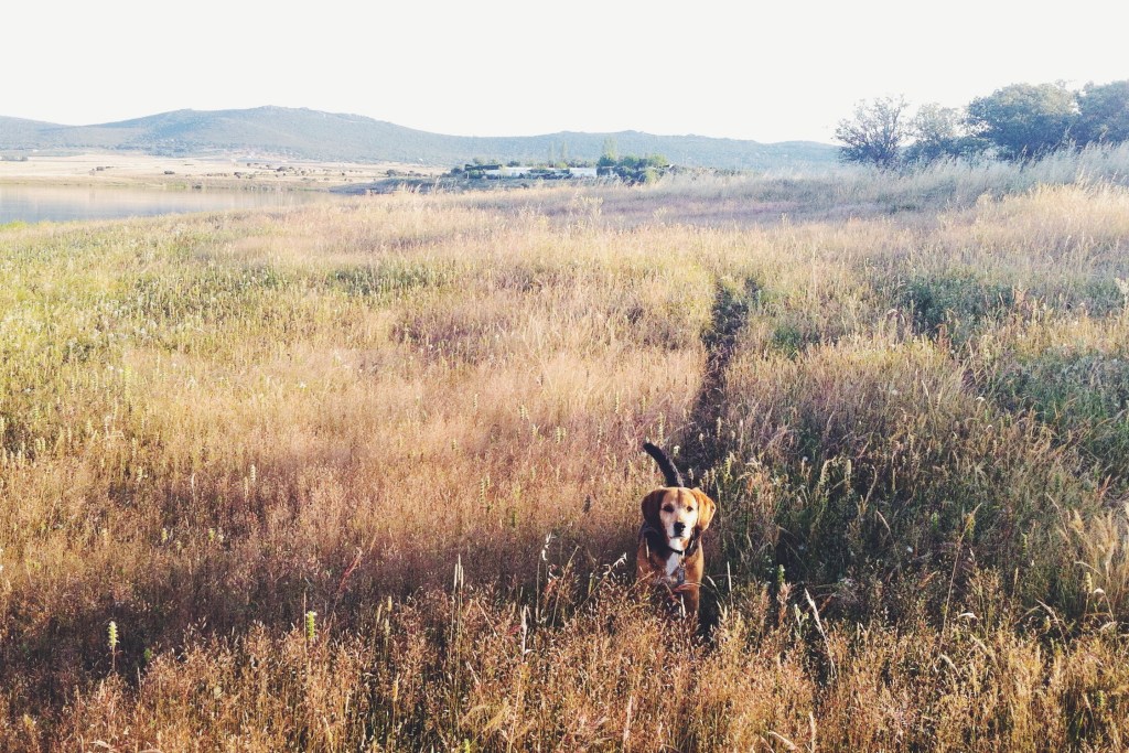 Processed with VSCOcam with f2 preset