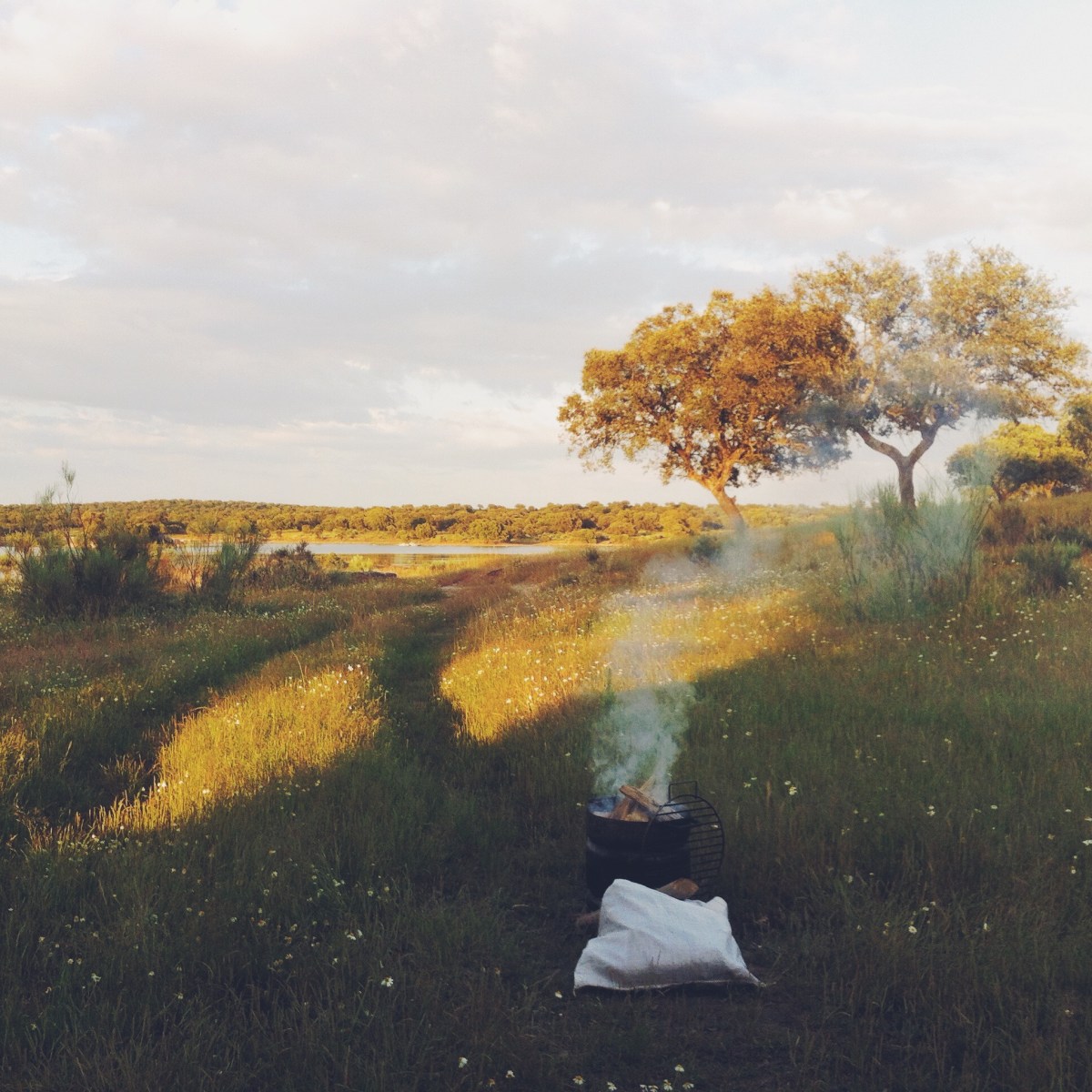 Processed with VSCOcam with f2 preset