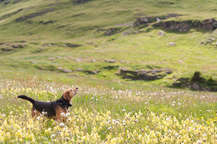 travel photographer france