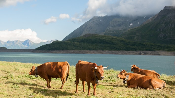 travel photographer france