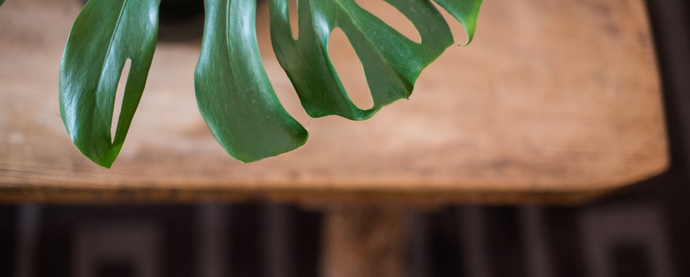 Food Photographer Portugal