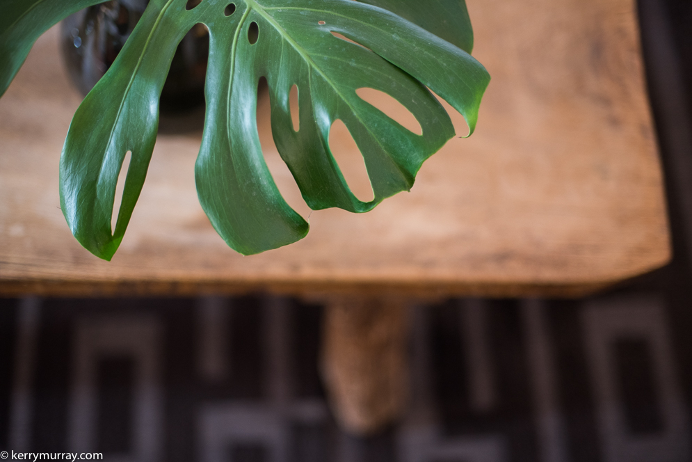 Food Photographer Portugal