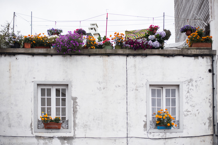 Travel Photography Faial Azores