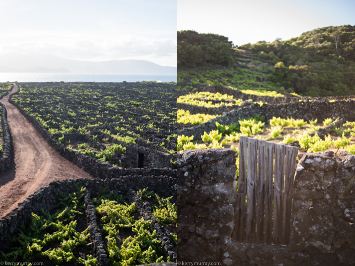 Travel Photography Pico Azores