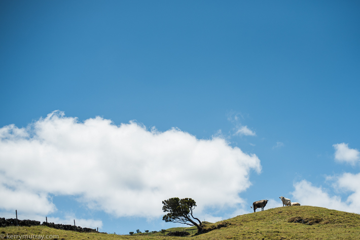 Travel Photography Pico Azores
