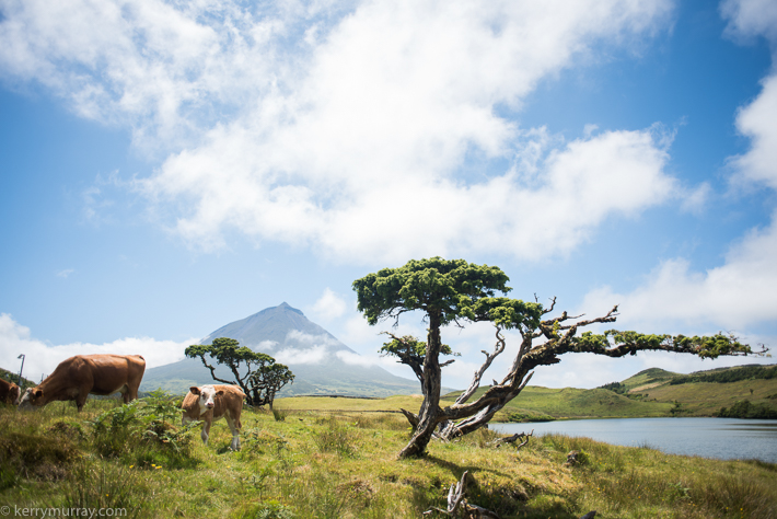 Travel Photography Pico Azores