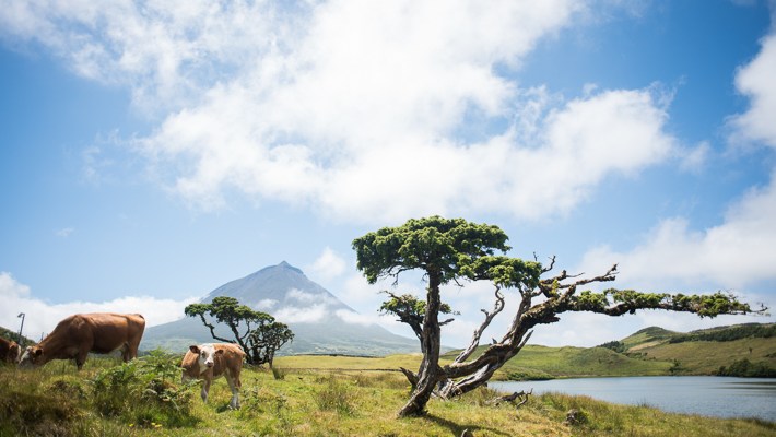 Travel Photography Pico Azores