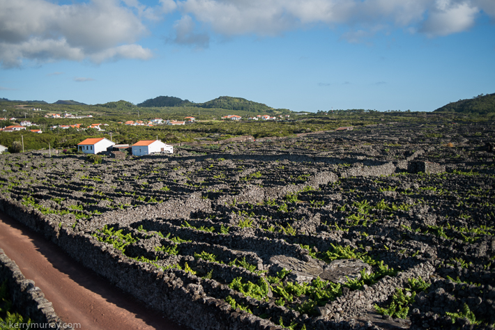 Travel Photography Pico Azores
