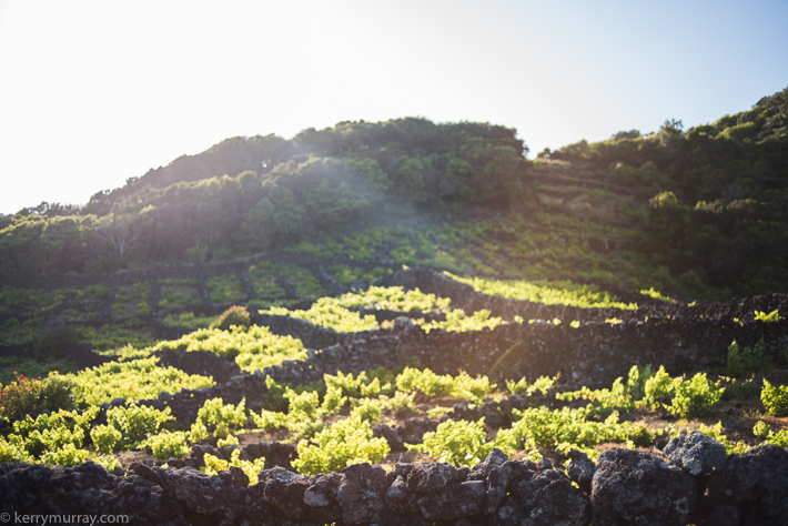 Travel Photography Pico Azores