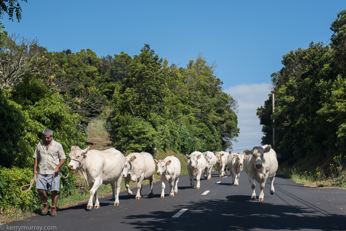 Travel Photography Pico Azores