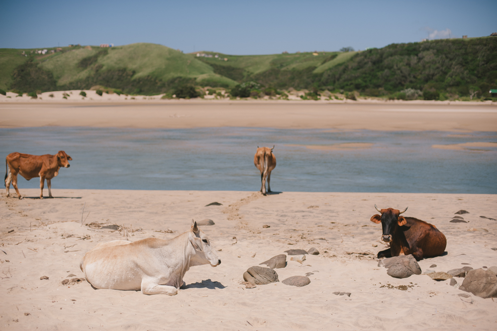 Travel Photographer South Africa