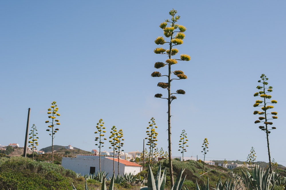 Travel Photographer Portugal