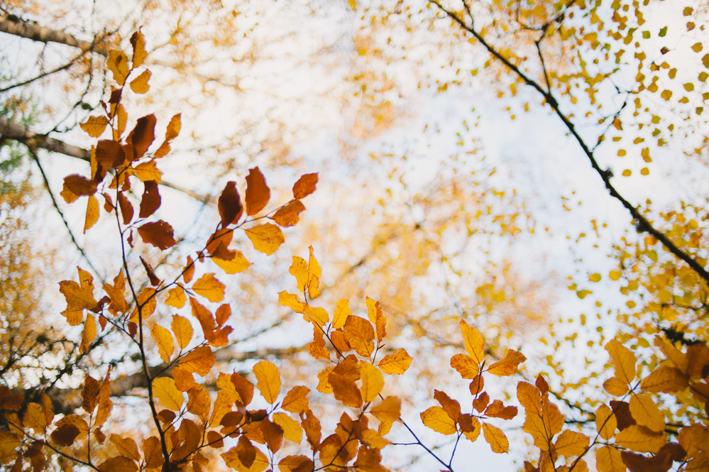 Travel Photographer Portugal